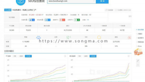 站群快速排名（站群排名技术）