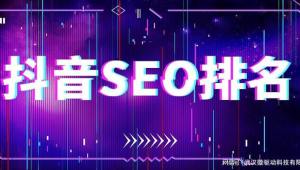 武汉seo服务（武汉seo公司出 名）