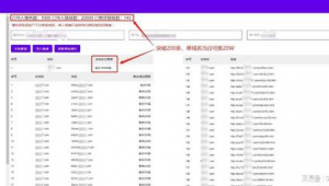 镜像站群一般多久有流量（镜像站群源码）