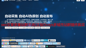 2021站群软件（2020站群软件）