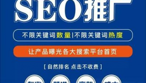 seo快速排名软件推荐（seo快速排名软件评价）