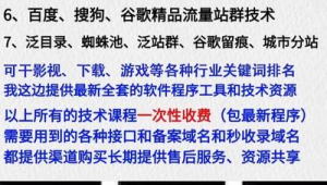 seo黑帽技术有哪些（seo黑帽怎么赚钱）