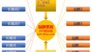 泛站群程序（什么是泛目录站群）