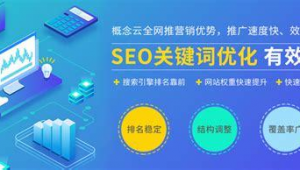 seo外包服务平台（seo外包服务项目）
