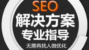 南宁seo团队哪家好（南宁搜索优化排名公司）